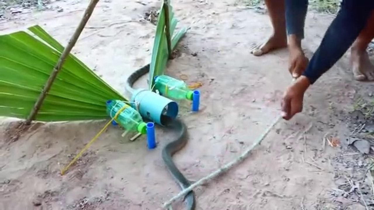 #Easy_Snake_Trap_-_DIY_Creative_Snake_Trap_make_from_plastic_bottle_\\u0026_PVC_Pipe_That_Work_100%(360p)