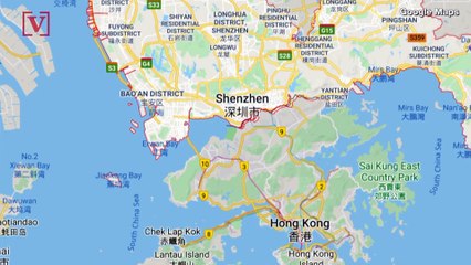 Shenzhen is the First Chinese City to Ban the Consumption of Cats and Dogs