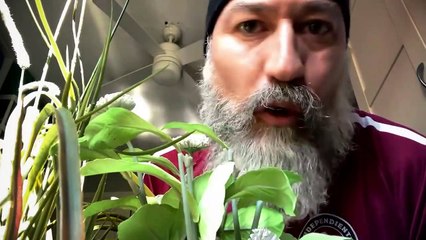Serie Camera Café, reencuentro de los actores por el coronavirus, con Arturo Valls, Luis Varela, Carolina Cerezuela y Ana  Milán, entre otros