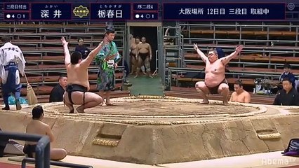 Fukai vs Tochikasuga - Haru 2020, Sandanme - Day 12