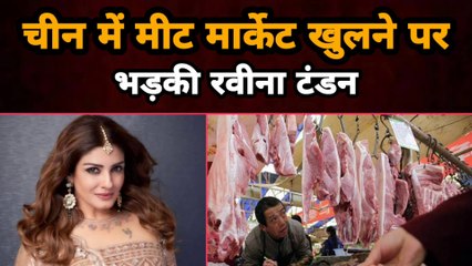 China मे Meat Market खुलने पर भड़की Raveena Tandon, कहा ''इतनी बड़ी कीमत चुकाने के बाद भी नहीं सुधर |