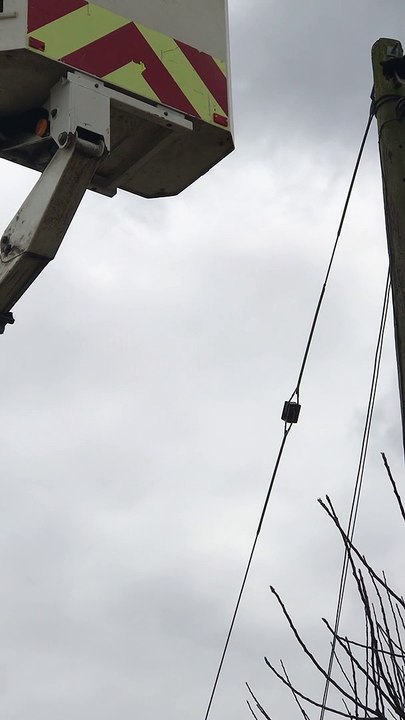 Cat rescued from polie