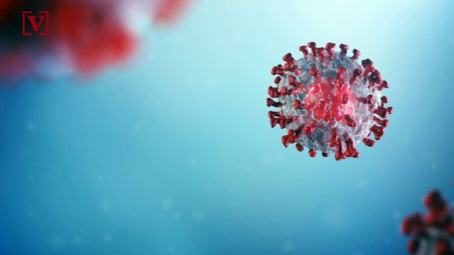 Amid Coronavirus Shutdown, FBI Sees Largest Number of Gun Sales Background Checks Ever Reported