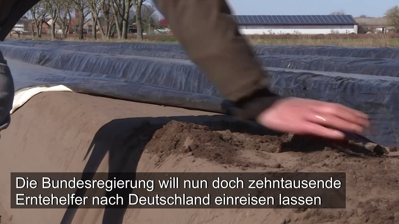 Einige Erntehelfer sollen nun doch einreisen dürfen