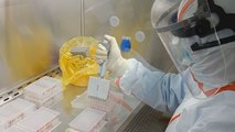 La pandemia de coronavirus se acerca al millón de contagios