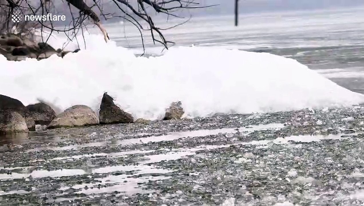 US videographer captures melting ice sheets crumble as they wash up on Minnesota shore