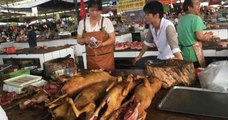 Chine : la ville de Shenzhen interdit à ses habitants de consommer de la viande de chat et de chien