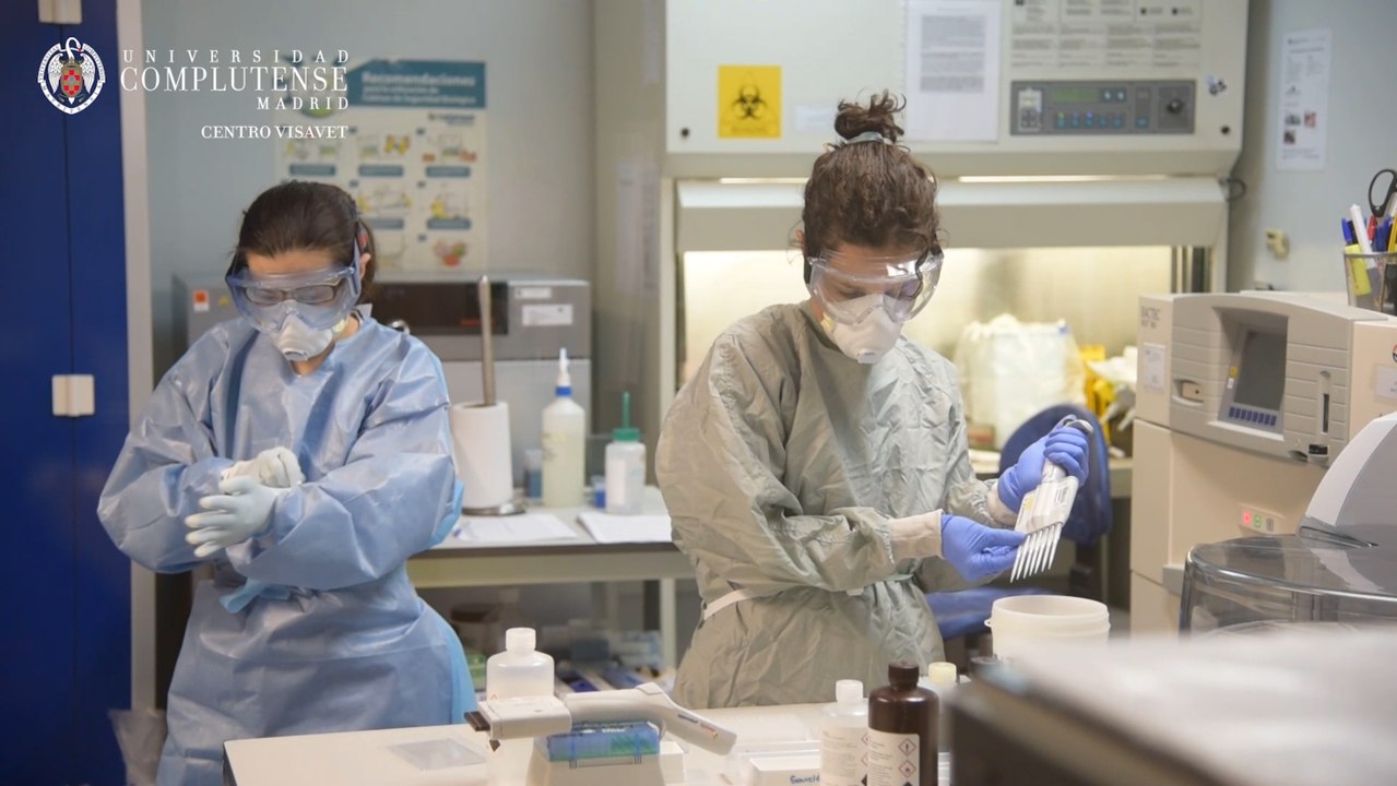 Los Laboratorios Complutense-Covid19 analizan 400 muestras diarias