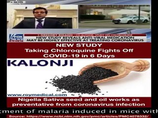 Black seeds can prevent covid 19