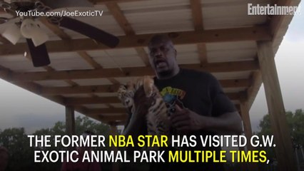 Celebrities with Connections to Netflix's 'Tiger King'