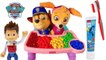 Paw Patrol Baby Skye and Chase Eat Breakfast and Brush Teeth