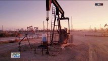 La nature reprend ses droits et le prix du pétrole dégringole