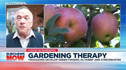 Why gardening should be your go-to quarantine activity