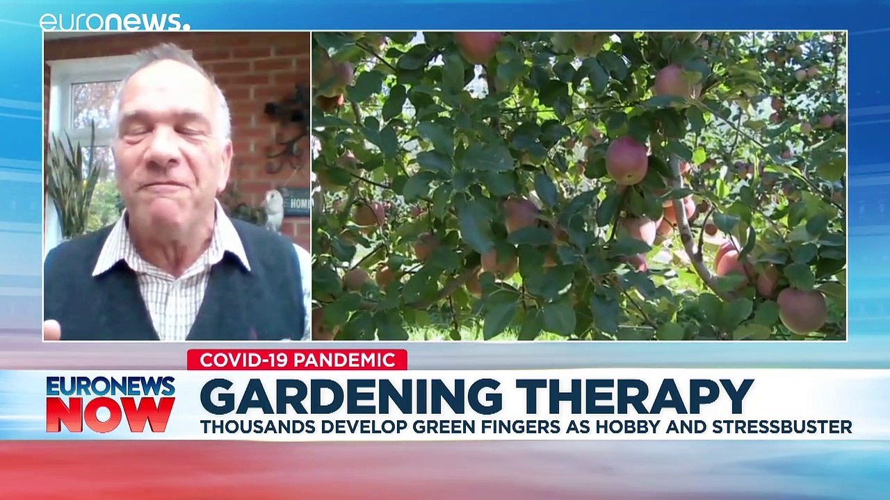 Why gardening should be your go-to quarantine activity - video ...