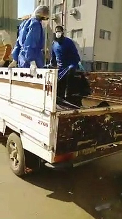 محافظة بورسعيد يحقق في فيديو نقل جثمان ضحية كورونا بـ"نص نقل"