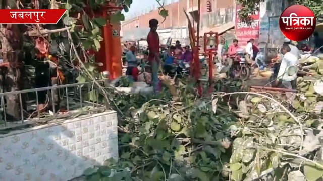 birds murder live video, birds in madhya pradesh