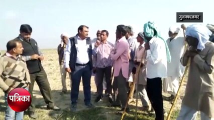सेंचुरी क्षेत्र की जमीन पर कब्जा कर भू माफिया कर रहे वन्य जीवों का शिकार