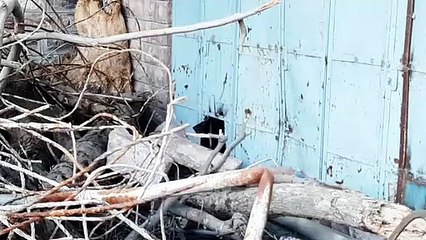 पुलिस पर भारी हिरासत से फरार दोनों बंदी