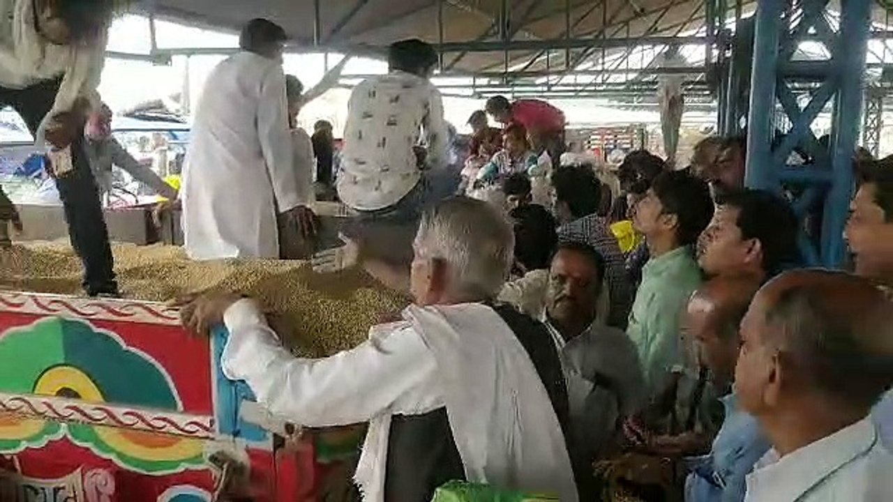 सोयाबीन सीजन में 4200 पार पहुंची, उत्पादन में कमी बना कारण