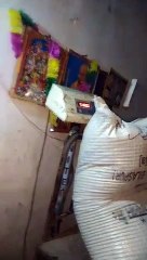 जानें कैसे गेहूं में पानी मिलाकर वजट बढ़ा रहे वेयर हाउस के अधिकारी, देखें वीडियो...