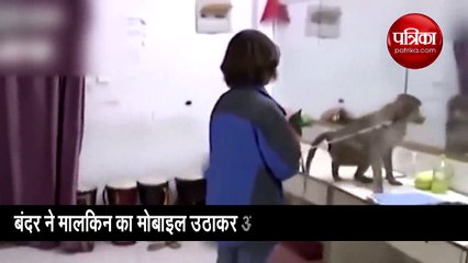 पालतु जानवर की कारस्तानी देख मालकिन हैरान, वीडियो हो रहा वायरल