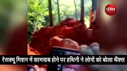 गड्ढे में गिर गया था हाथी का बच्चा, रेसक्यू करने पर हथिनी ने लोगों को बोला थैंक्स