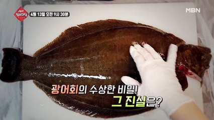 생생 정보마당 [612회] - 유쾌한 월요일