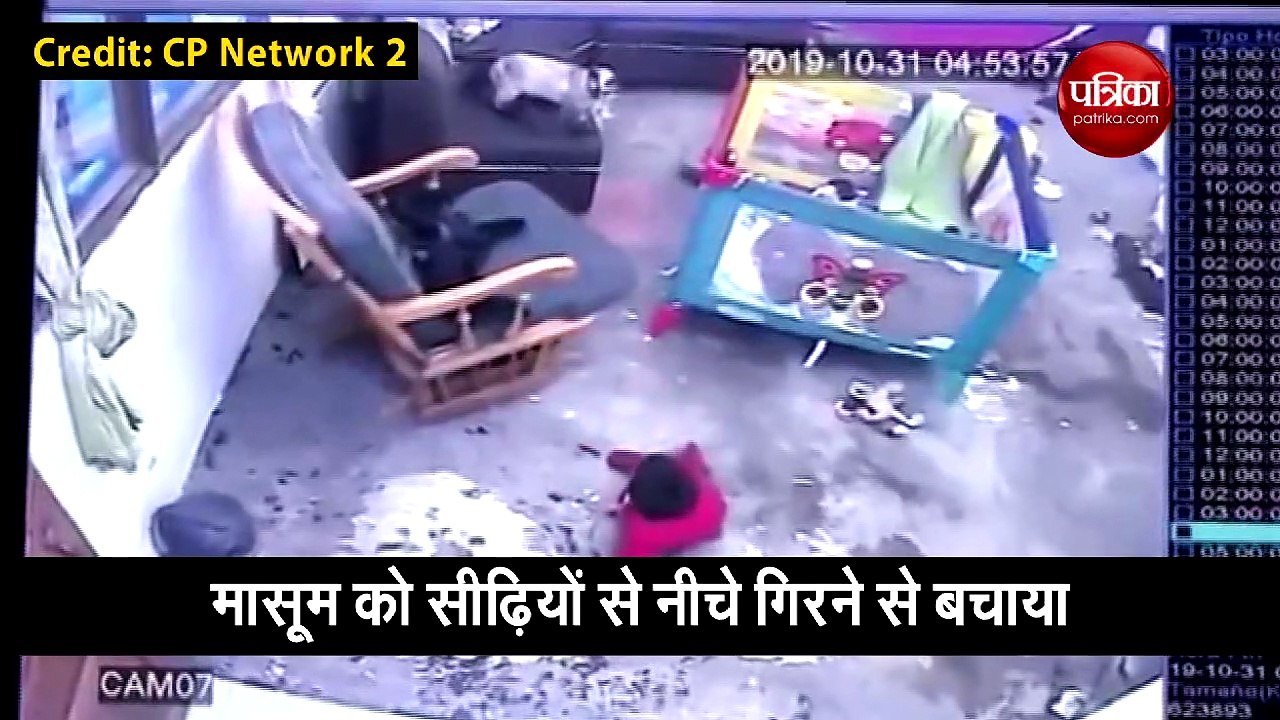 बच्चा खेलते हुए अचानक पहुंचा सीढ़ियों के पास, तभी इस बिल्ली ने किया ये कमाल
