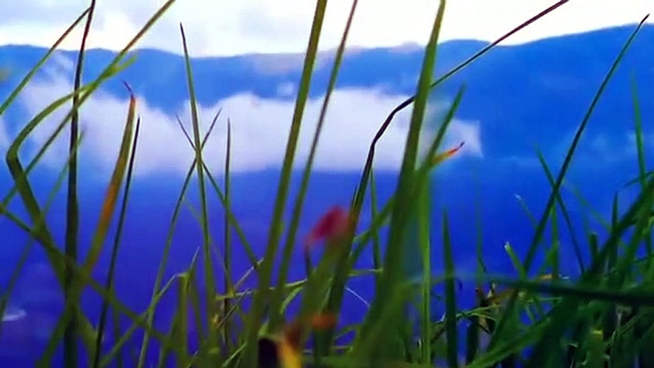 നമ്മുടെ Tik tok  വീഡിയോസ് കാണാത്തവർക്കായി _ dream(360P)
