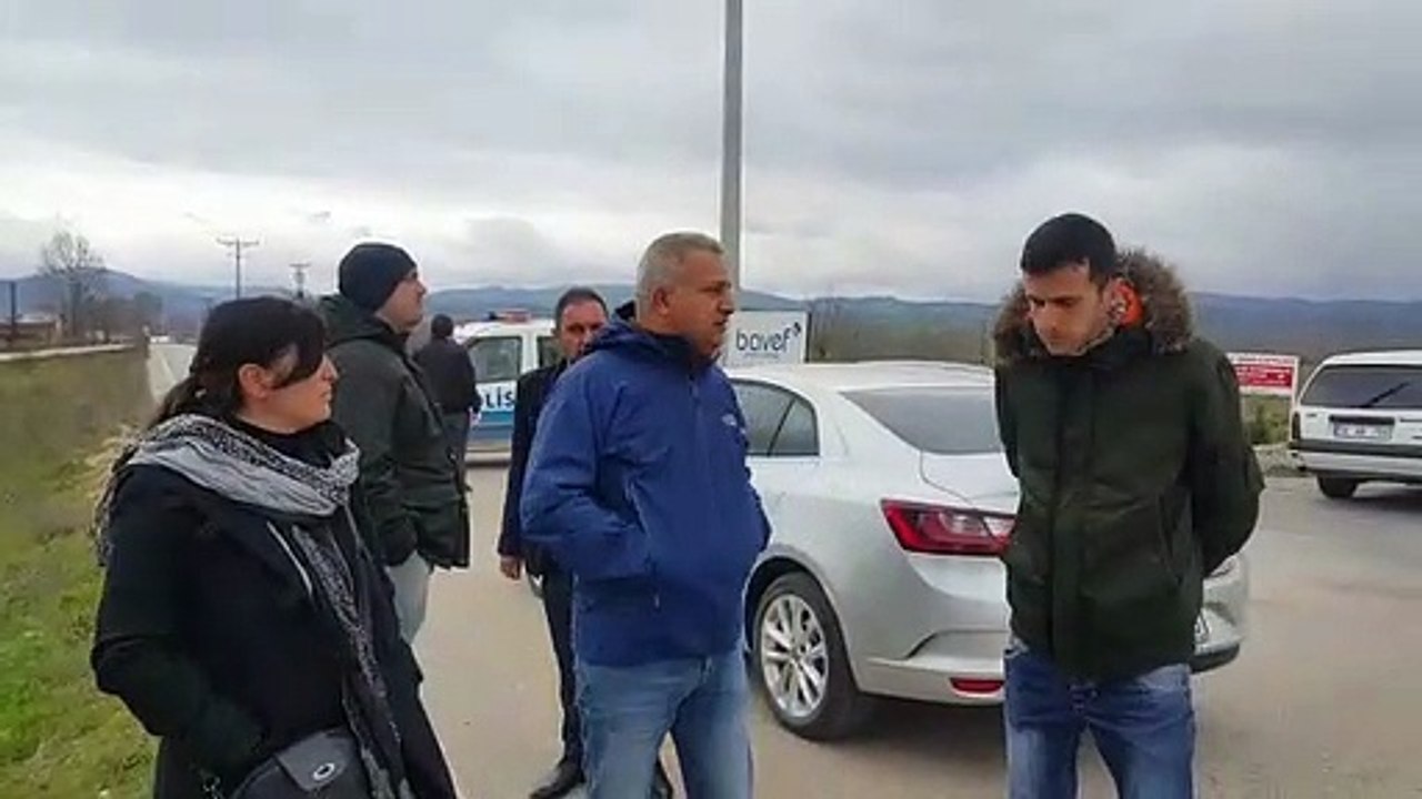 Vatandaş evde kalınca ağaç katliamı yaptılar