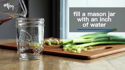 How to Regrow Green Onions in Nothing But Water