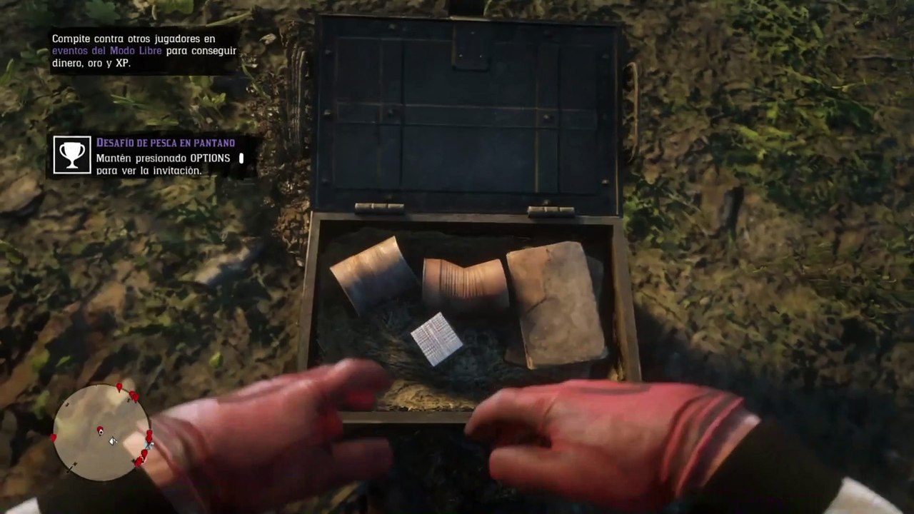 Red Dead Redemption 2 Online Localización de Objetos Colección de Belleza de Braithwaite (Nuevas Ubicaciones de la colección)