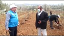 Kırıkkale İl Tarım ve Orman Müdürlüğü ekipleri, astım hastası vatandaşın bağını budadı