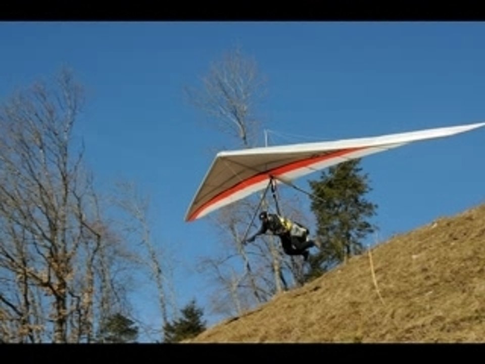 Seedwings space 16 premiers vols