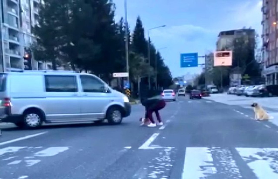 Duyarlı vatandaş anne köpeğin çaresizliğine dayanamadı