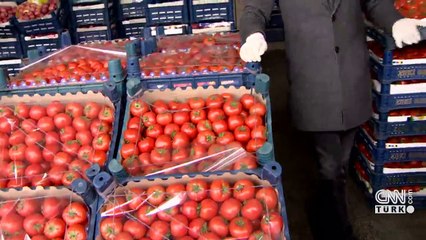 Virüs sebze-meyveyi vurur mu?