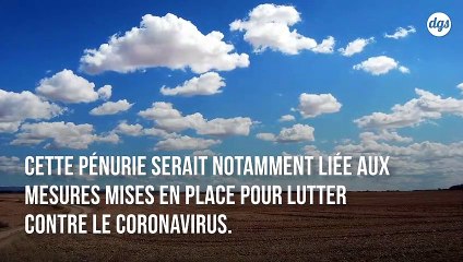La pandémie de Covid-19 peut se transformer en crise alimentaire mondiale