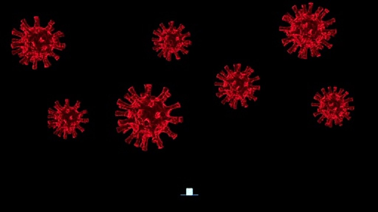 Virus