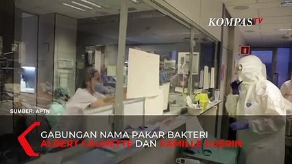 Penelitian Baru, Uji Coba Vaksin BCG Untuk Virus Corona