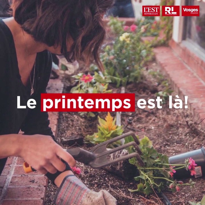 Comment bien préparer votre jardin en ce mois d'avril