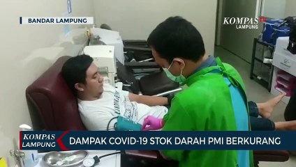 Dampak Covid-19 Stok Darah di PMI Lampung Berkurang