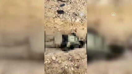 Barış Pınarı bölgesi güneyinde 4 terörist etkisiz hale getirildi