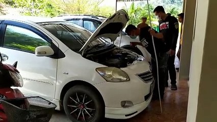 King cobra slither's into woman's car engine while she parks at hospital in Thailand