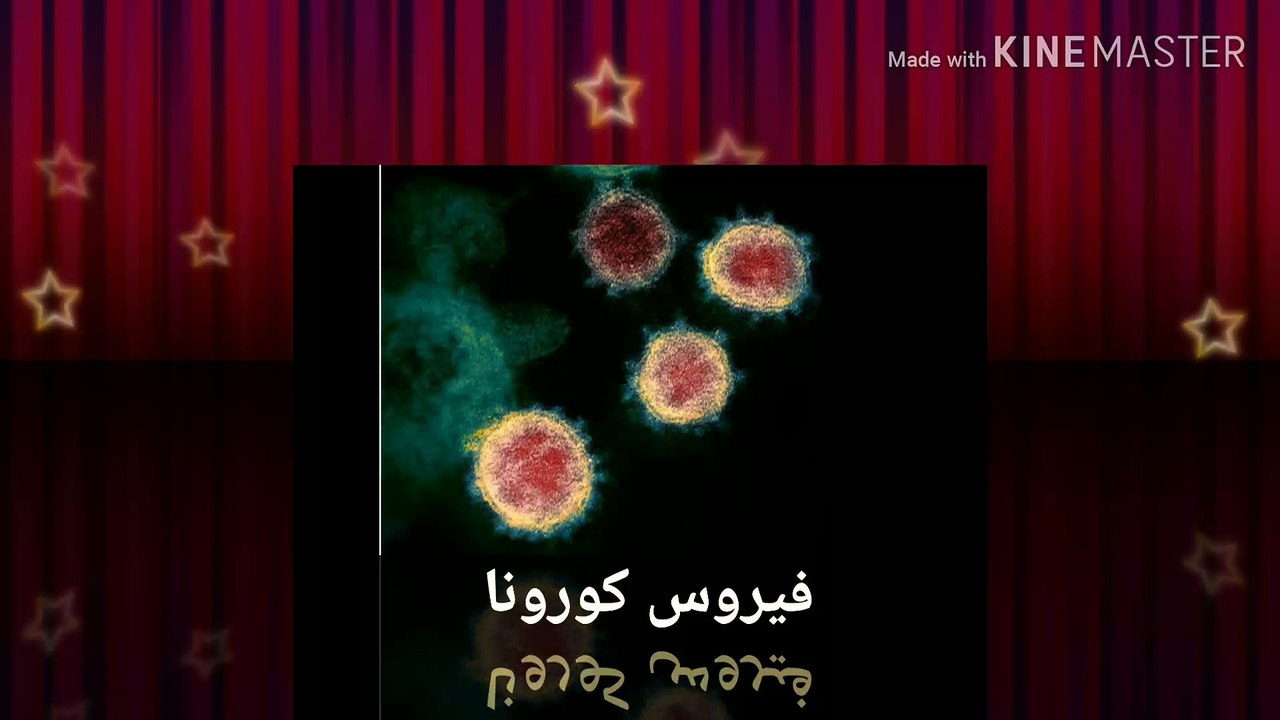 ظهور شعره  في خواتيم سورة البقرة هتقضي علي الكورونا