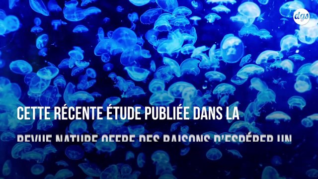 La vie marine pourrait retrouver des niveaux sains d'ici à 2050... si nous agissons maintenant