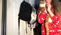Cat Does Not Like Kisses