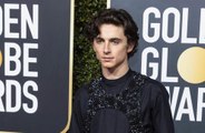 Timothee Chalamet and Armie Hammer to star in Call Me by Your Name