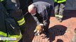 Dog Rescued After Being Trapped Under Owner's Vehicle For 40 Miles