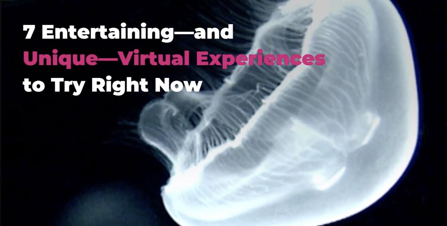 7 Entertaining—and Unique—Virtual Experiences to Try Right Now