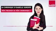 Freud et le rêve... - La chronique d'Isabelle Sorente